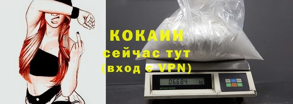 твердый Покачи